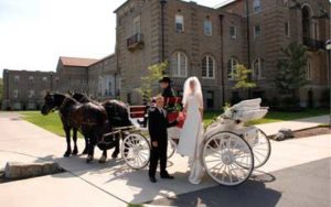 horse carriages