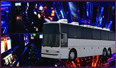 party-bus-55passenger